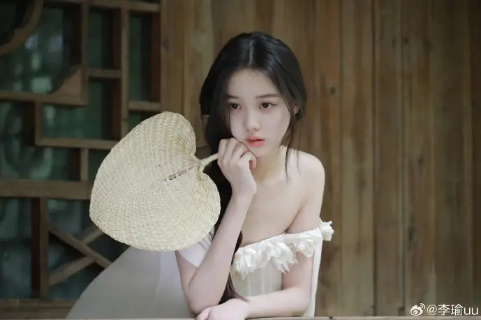 盗版小说网站流量统计