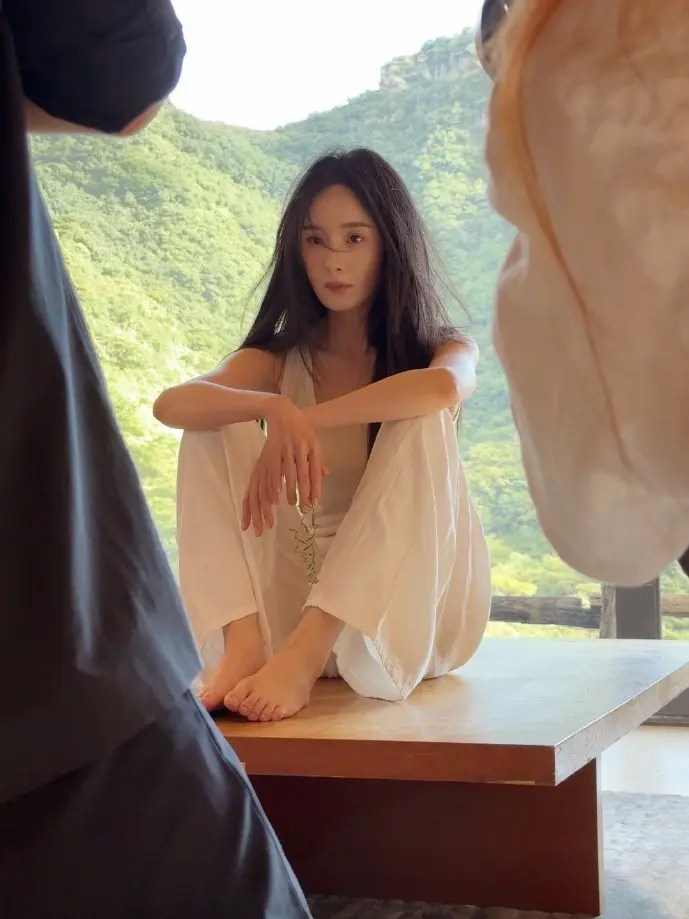 手机框架技术示意图